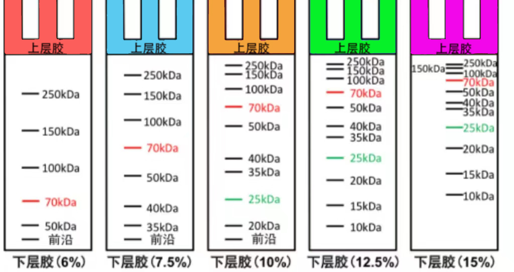 1667523635289912.jpg ba21dc215f29036f13af610d95898e6.jpg