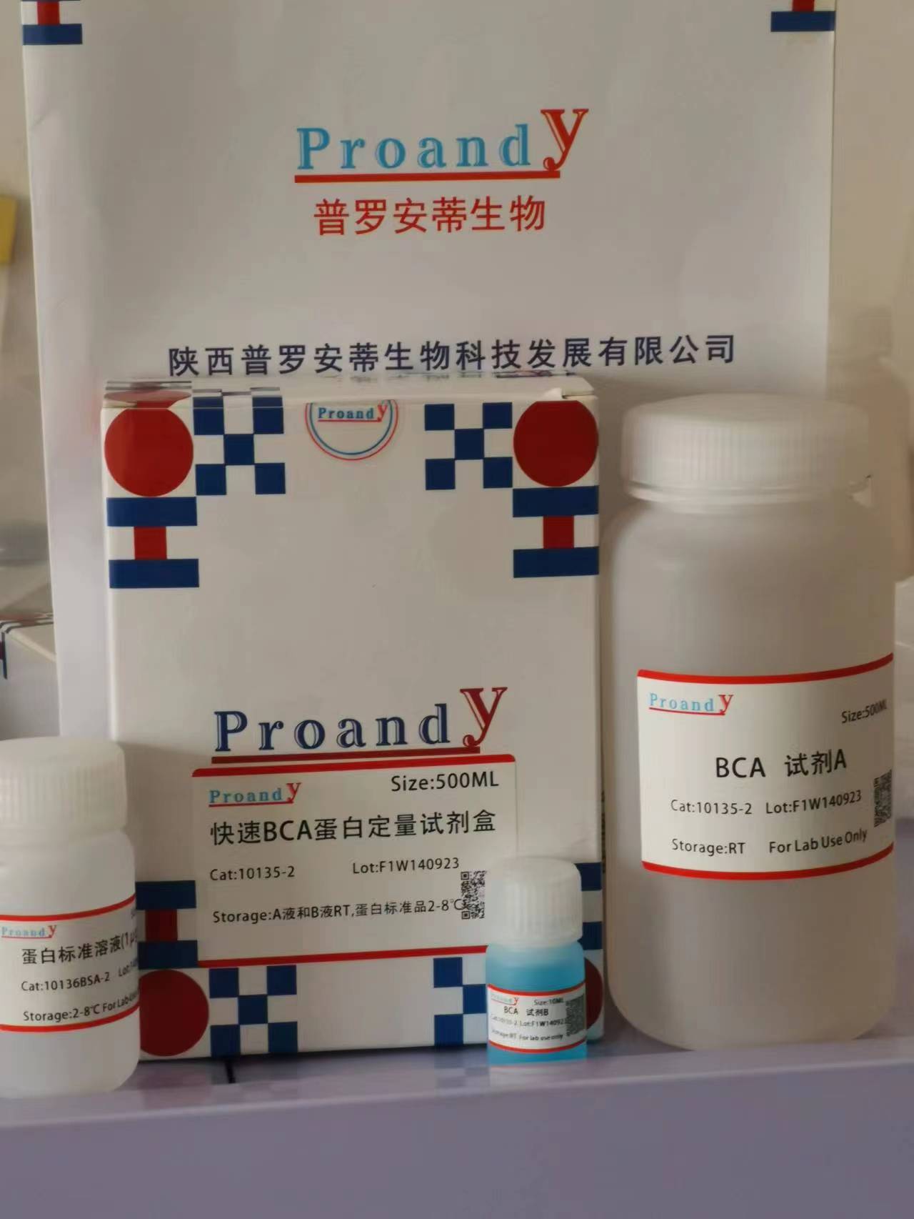 1696657060159319.jpg 快速BCA.jpg