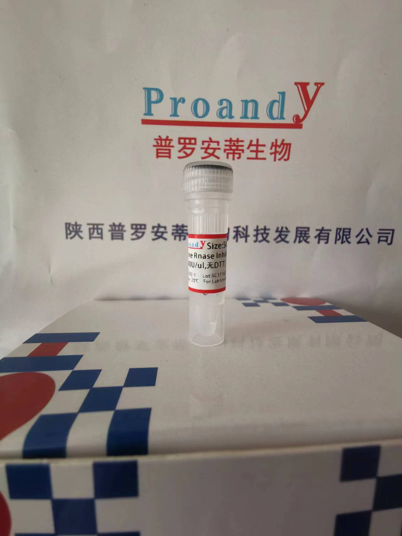 鼠源RNAase抑制劑（無DTT）.jpg