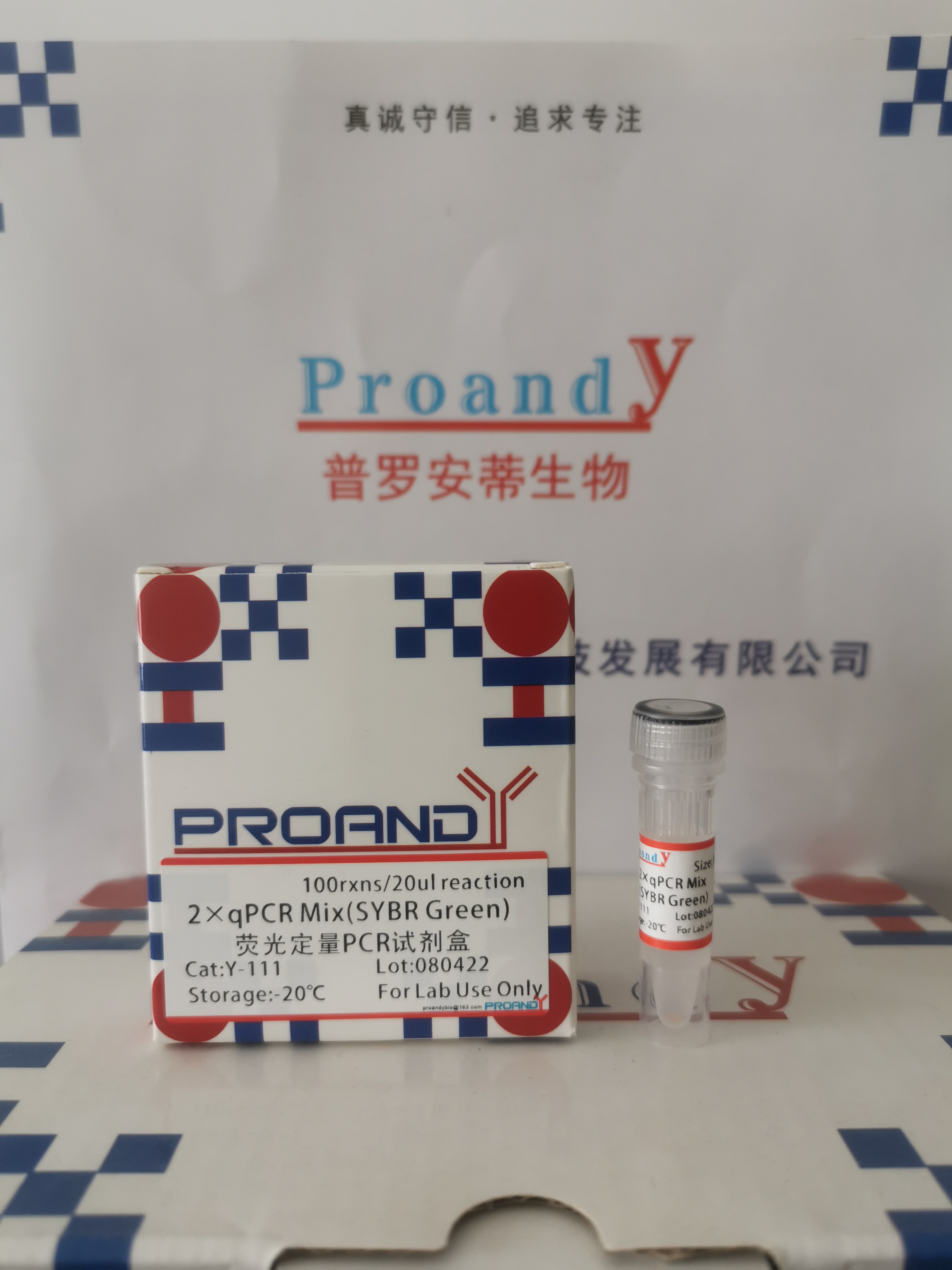 1713848868965290.jpg 熒光定量(無ROX).jpg