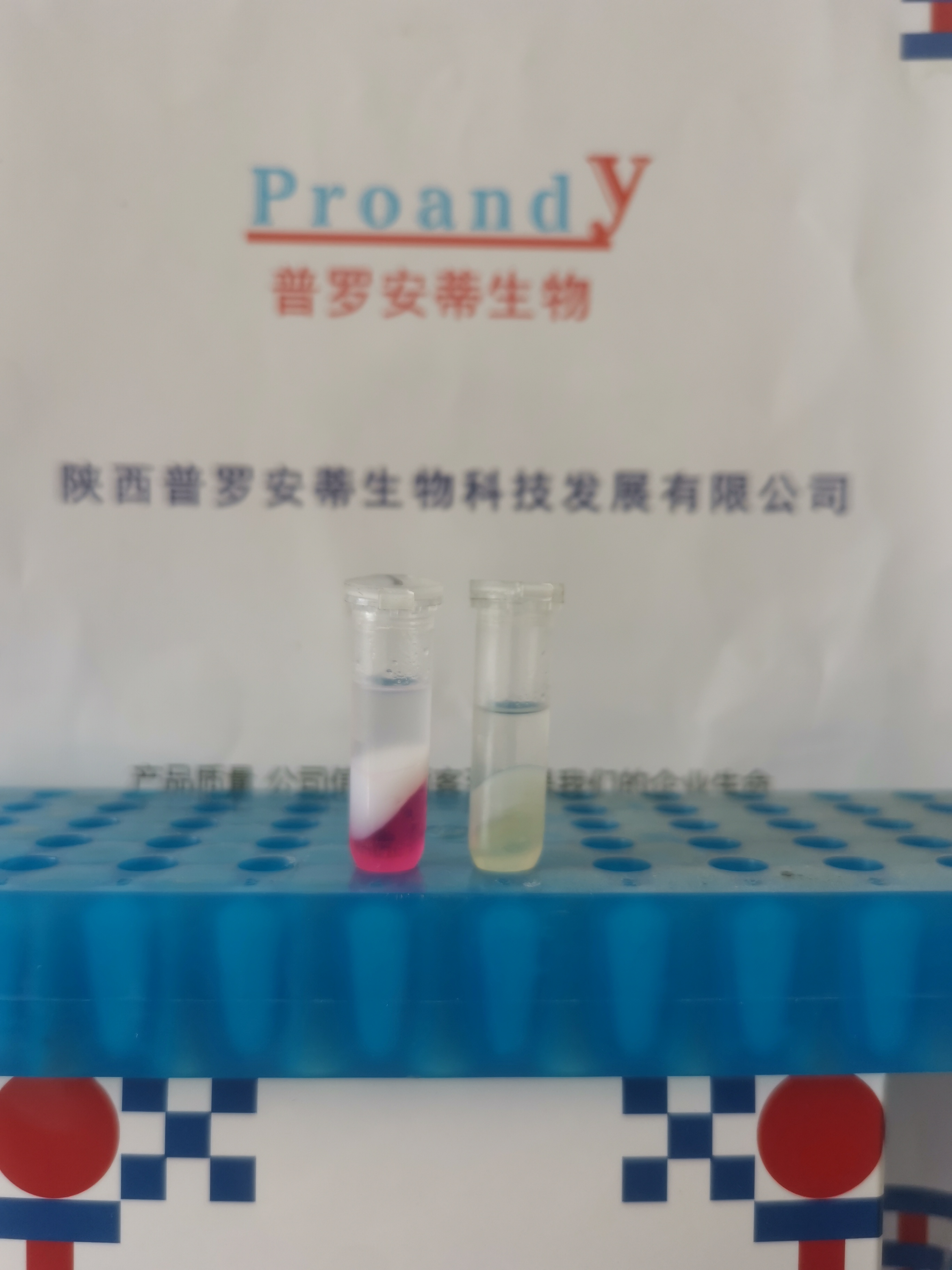 1740549123449660.jpg 鎖相膠--通用型.jpg