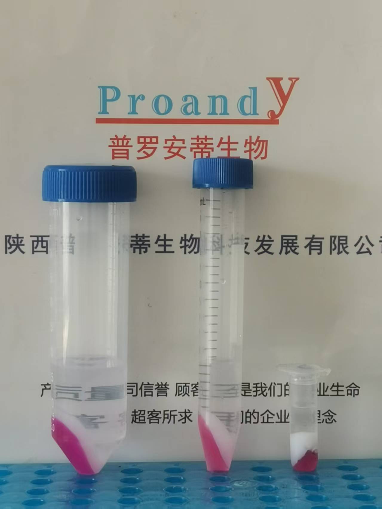 1742185088696494.jpg 2ml-15ml-50ml.jpg